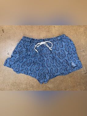Brandy Melville Intimates&Sleepwear - Elastic Waist Blue Pajama Shorts Small